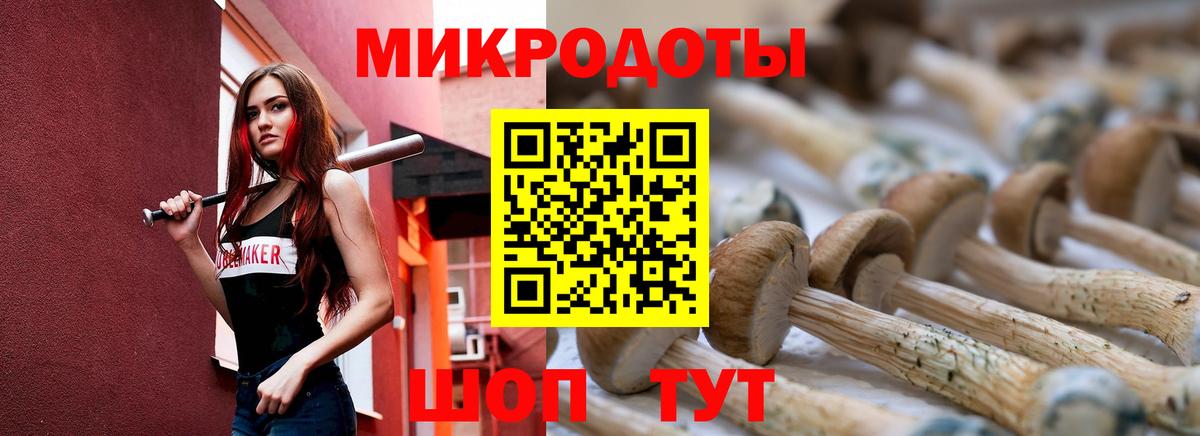 Среднеуральск  Галлюциногенные грибы мицелий  Вход с VPN 
